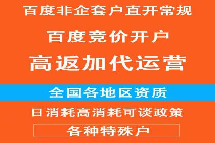 百度竞价代运营公司成功案例揭秘：策略与执行